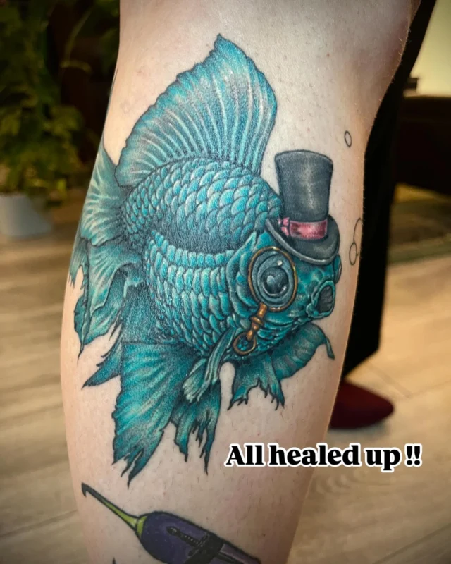 This fancy lil gentleman is all healed up and ready to do… fancy fish tings ? Perhaps a date with a fine lady fish? Who knows? Thanks again @sailor_steph7 you are the coolest!!! 

  Also if you ( yes you ) are thinking to yourself “ gee, I sure could use a fancy lil buddy tattoo!” You ( yes you ) should hit me up , because I had all the fun making this lil dude :) ok bye .