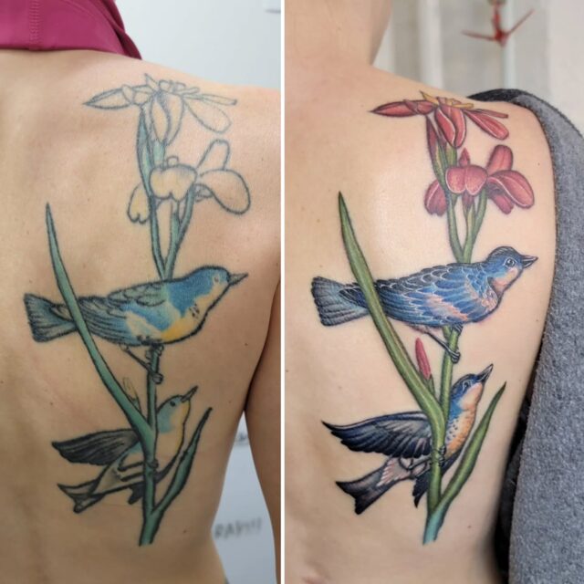 (by @inkstress)
Before and after! Big thanks to Lyndsey for trusting me to give these birds a little facelift!
#rachelgilbert #inkstress #tattoosbyinkstress #witchinghourtattoopdx #witchinghourtattoo #beforeandafter #tattoofixup #tattoofacelift #tattooglowup