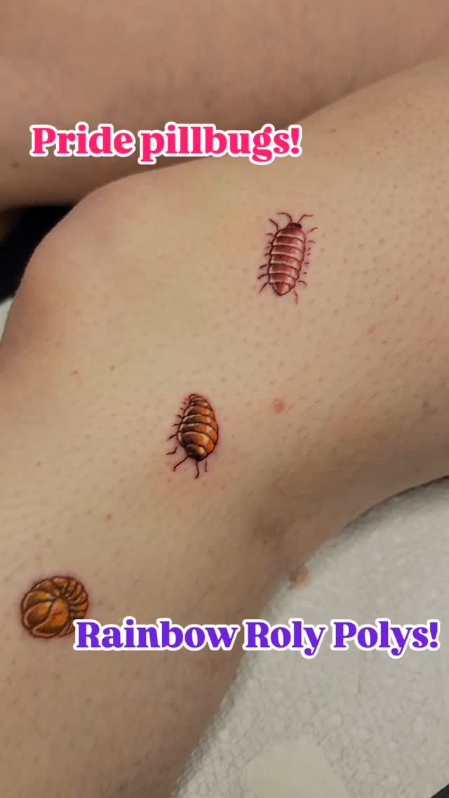 Always let your true colors shine!
Roly poly bugs by @inkstress
Thanks for another fun day, Amber! You rock!
#inkstress #rachelgilbert #tattoosbyinkstress #witchinghourtattoopdx #oregontattoo #pdxtattoo #witchinghourtattoo #naturetattoo #crittertattoo #bugtattoo