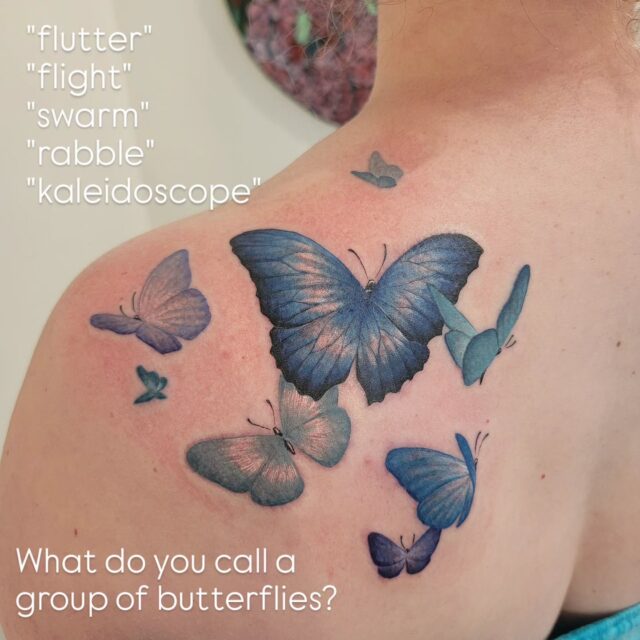I was so happy to do this beautiful bunch of blue-ish butterflies for Samantha!
Thanks for a lovely day! 

#rachelgilbert #inkstress #tattoosbyinkstress #witchinghourtattoopdx #witchinghourtattoo #naturetattoo #botanicaltattoo #whimsicaltattoo