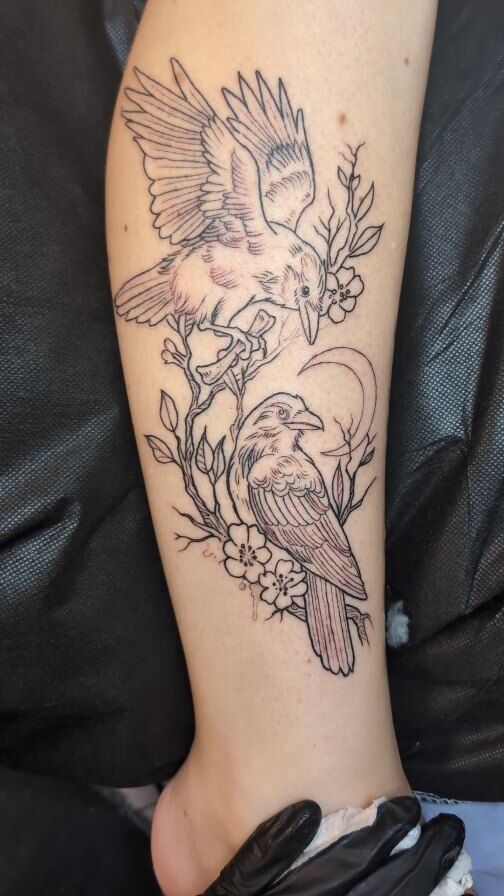 Come with me to outline some crow friends for Morgan! Thanks for watching 🐦‍⬛🐦‍⬛
.
.
.
.
.
#wip #outline #crow #corvid #crowtattoo #portlandtattooers #portlandtattooshop  #portlandtattoo #witchinghour #portlandtattooartist #portlandoregon #pdxtattoo #pdxtattooartist #pdx #portlandartist #pnw #oregontattoo #oregontattooartist #oregontattoos #ashtonallentattoo #pdxsmallbusiness #pdxartgallery #womanownedbusiness #tattoo #tattoosnob #tattooistartmag #ladytattooer #femaletattooartist #support_good_tattooing
