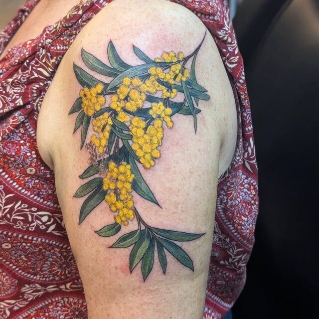 Had the pleasure of tattooing this Golden Wattle Mimosa tree variety (a reminder of Australia 🌏🦘) for Ali today, who sat like a champ! I love doing botanical pieces and it's always exciting to tattoo a new plant that I've never gotten to do before! Thanks for looking!
.
.
.
.
#mimosa #goldenwattle #mimosatree #botanicaltattoo #planttattoo #portlandtattooers #portlandtattooshop  #portlandtattoo #witchinghour #portlandtattooartist #portlandoregon #pdxtattoo #pdxtattooartist #pdx #portlandartist #pnw #oregontattoo #oregontattooartist #oregontattoos #ashtonallentattoo #pdxsmallbusiness #pdxartgallery #womanownedbusiness #tattoo #tattoosnob #tattooistartmag #ladytattooer #femaletattooartist #support_good_tattooing
