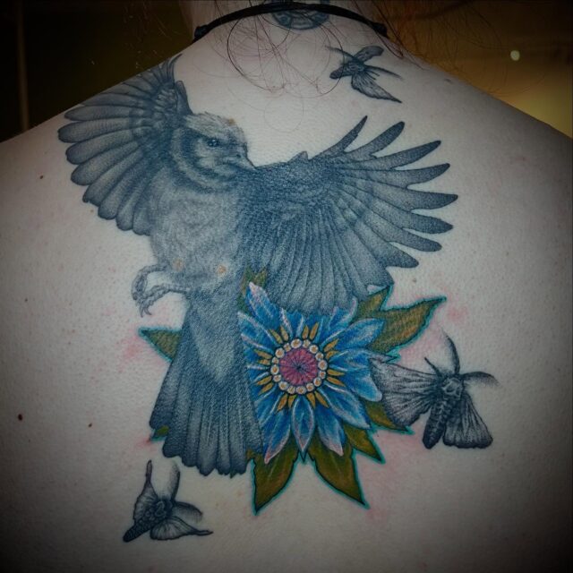 Well hello, how’s everyone out there on the world wide web? I’m good thanks for asking :)
 So, check out this fun project in the works for the super awesome @cheryl_ann415 . I have had so much fun working on this and cannot wait to get back to work !!The black and grey is fully healed and the color work fresh .
 That’s all I got. Have a good one :)
PS : books are always open