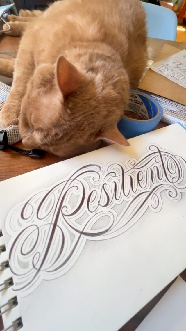 Resilient- (of a person or animal) able to withstand or recover quickly from difficult conditions.•
•
•
•
•
.•
#borrowedtimesstudio #handlettering #tattoo #tattooartist #letteringdaily #typography #typespire #goodtype #handmadefont #signpainter #signpainting #type #thedailytype #ligaturecollective