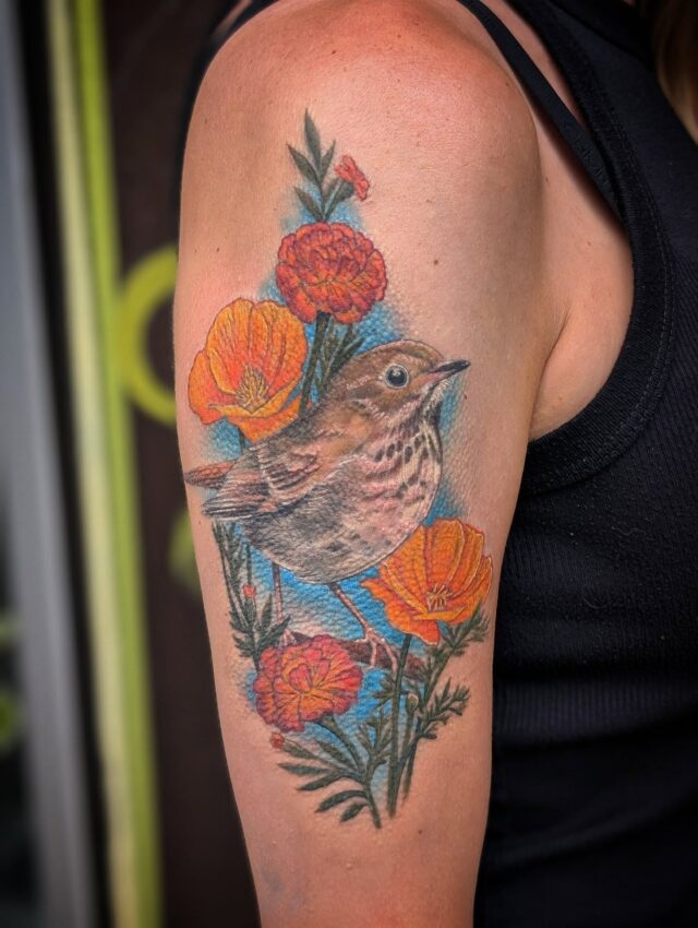 Herman!! Had the pleasure of finishing up Herman the Hermit thrush for Erin today, he's got his own branch and is surrounded by some kiddo birth flowers and a little bit of blue sky! Fly free Herman 🙏😊🐦