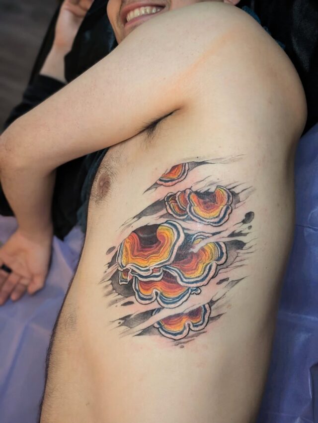It's almost chanterelle season in the PNW so I thought it would be a fun time to post this turkey tail mushroom piece I did for Forrest back in July! Who likes to mushroom hunt?? 🍄❤️
.
.
.
.
.
#pnwtattoo #mushroomtattoo #pnwpride #foresttattoo #nature#portlandtattooers #portlandtattooshop  #portlandtattoo #witchinghour #portlandtattooartist #portlandoregon #pdxtattoo #pdxtattooartist #pdx #portlandartist #pnw #oregontattoo #oregontattooartist #oregontattoos #ashtonallentattoo #pdxsmallbusiness #pdxartgallery #womanownedbusiness #tattoo #tattoosnob #tattooistartmag #ladytattooer #femaletattooartist #support_good_tattooing