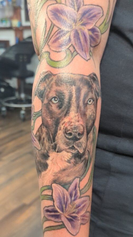 Got to make this sleeve of adorable pitbull portraits and lilies. Look at those faces! Doggos are healed and one lily is fresh. I love tattooing pets 🐾🐾🐾. Thanks for looking 
.
.
.
#dogtattoo #dogs #pitbulllove #pitbullsofinstagram #portlandtattooers #portlandtattooshop  #portlandtattoo #witchinghour #portlandtattooartist #portlandoregon #pdxtattoo #pdxtattooartist #pdx #portlandartist #pnw #oregontattoo #oregontattooartist #oregontattoos #ashtonallentattoo #pdxsmallbusiness #pdxartgallery #womanownedbusiness #tattoo #tattoosnob #tattooistartmag #ladytattooer #femaletattooartist #support_good_tattooing