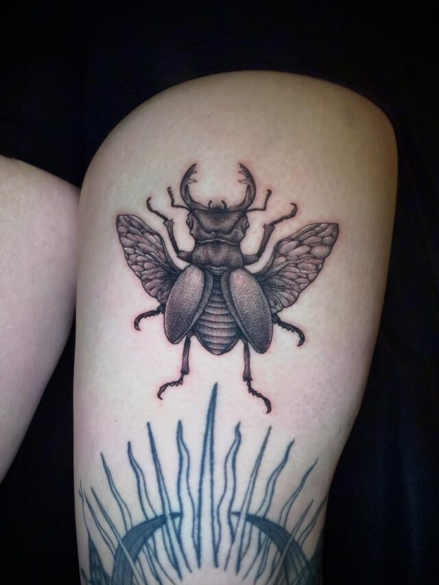 I had all the fun making this rad lil beetle :D Thanks so much @maddie.wiebke !! I couldn’t have done it without ya!!