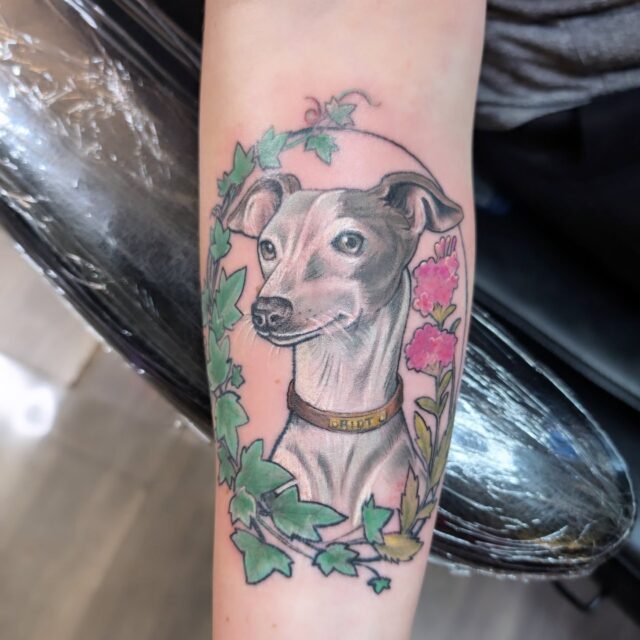 An Italian Greyhound named Riot in a frame of Ivory and Verbania flower 🌺. Thanks for looking!
.
.
.
#petportrait #dogtattoo #portlandtattoo #femaletattooartist #witchinghourtattoo