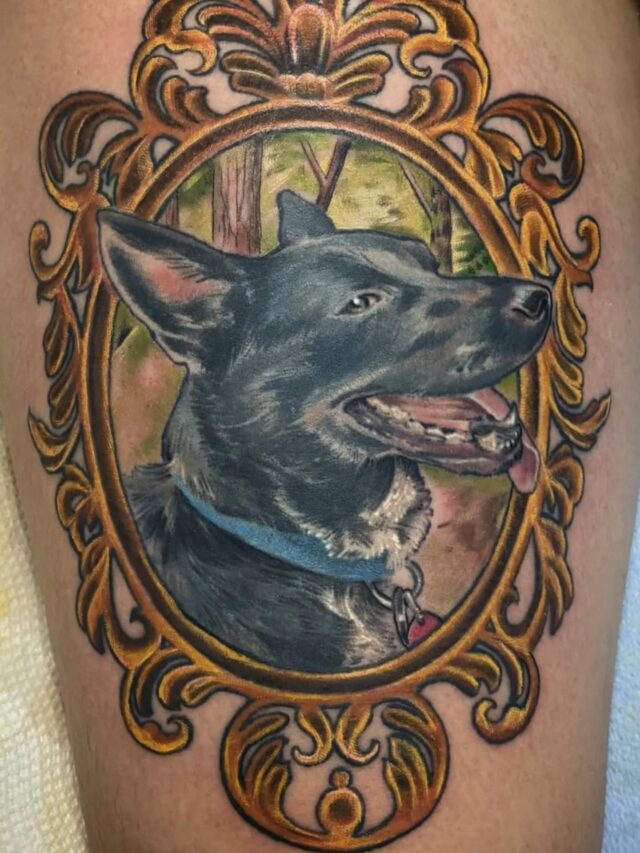 Love a good puppy portrait! The doggo is healed and the baroque frame is fresh in this photo. Thanks for looking ✨🐕🐾
.
.
.
#dogtattoo #memorialtattoo #portlandtattoo #seattletattoo #pnwtattoo