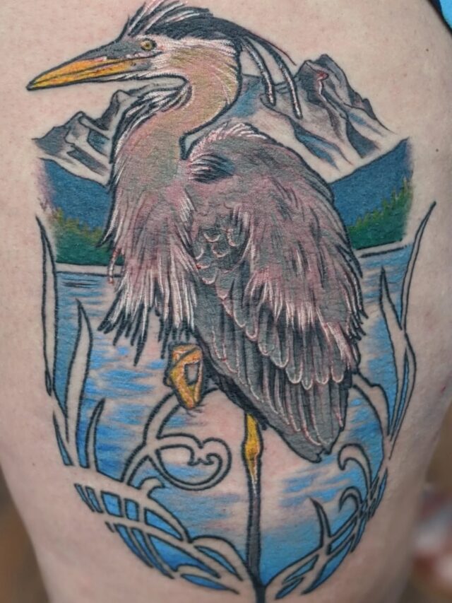 I grew up in Alaska watching great blue herons fish at the side of the marshes near our house, a wetlands area that was a large expanse of grass and mud with streams and channels cutting through all leading into the ocean. It would completely disappear under the changing tides and then be revealed twice a day my entire childhood. Was stoked to make this guy and added a little art nouveau flare in there because that's what I do 🙌✨ I am always thrilled to tattoo anything from nature especially that is found in the PNW. I am taking summer and late spring projects still and have a few June days. If you have a fun idea please reach out through email or DM and we can get you a consultation!
.
.
.
#pnw #naturetattoo #heron #birdtattoo #portlandtattoo d