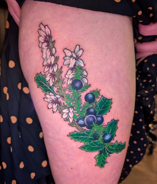 Crowberry, holly and white heather for Ali. These are not typical plants and are all to represent places in the Arctic of the world! Thanks Ali and thanks for looking. 
.
.
.
.
.
#colortattoo #botanicaltattoo
#femaletattooartist #portlandtattoo #seattletattoo