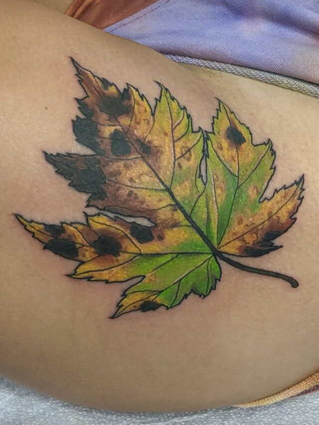 Happy 100 days until October everyone. Make sure you're wearing your sunscreen and if you're thinking of starting a new tattoo project this late summer or fall please reach out. Booking August/Sept and of course October but I have time every week for complimentary consultations to plan your next piece! Spooky and/or nature tattoos are always welcome! 🍁🍃🍂
#colortattoo #pnw #naturetattoo #femaletattooartist #portlandtattoo