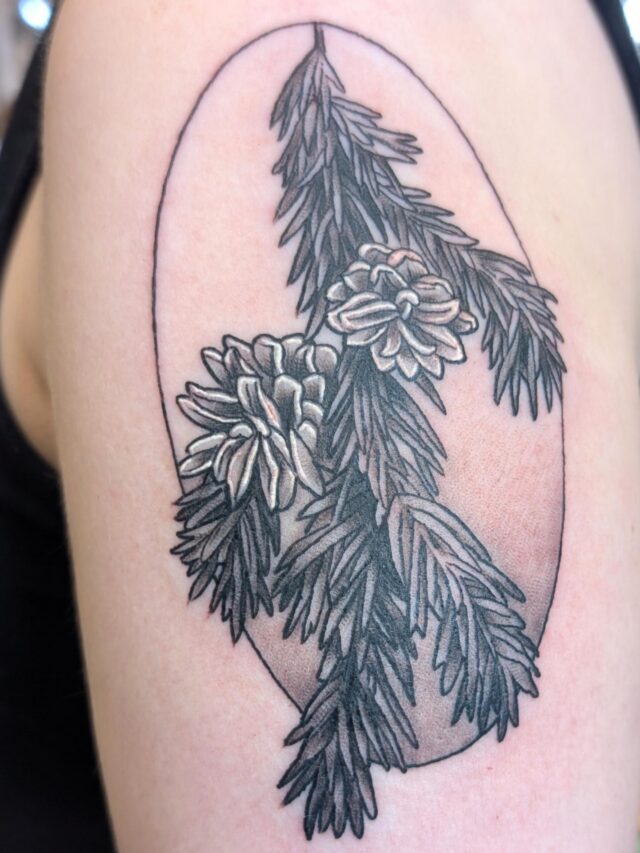 Evergreen bough! All the PNW stuff please 🖤🙏
..
..
..
..
#pnwtattoo #naturetattoo #portlandtattoo #femaletattooartist #witchinghourtattoo